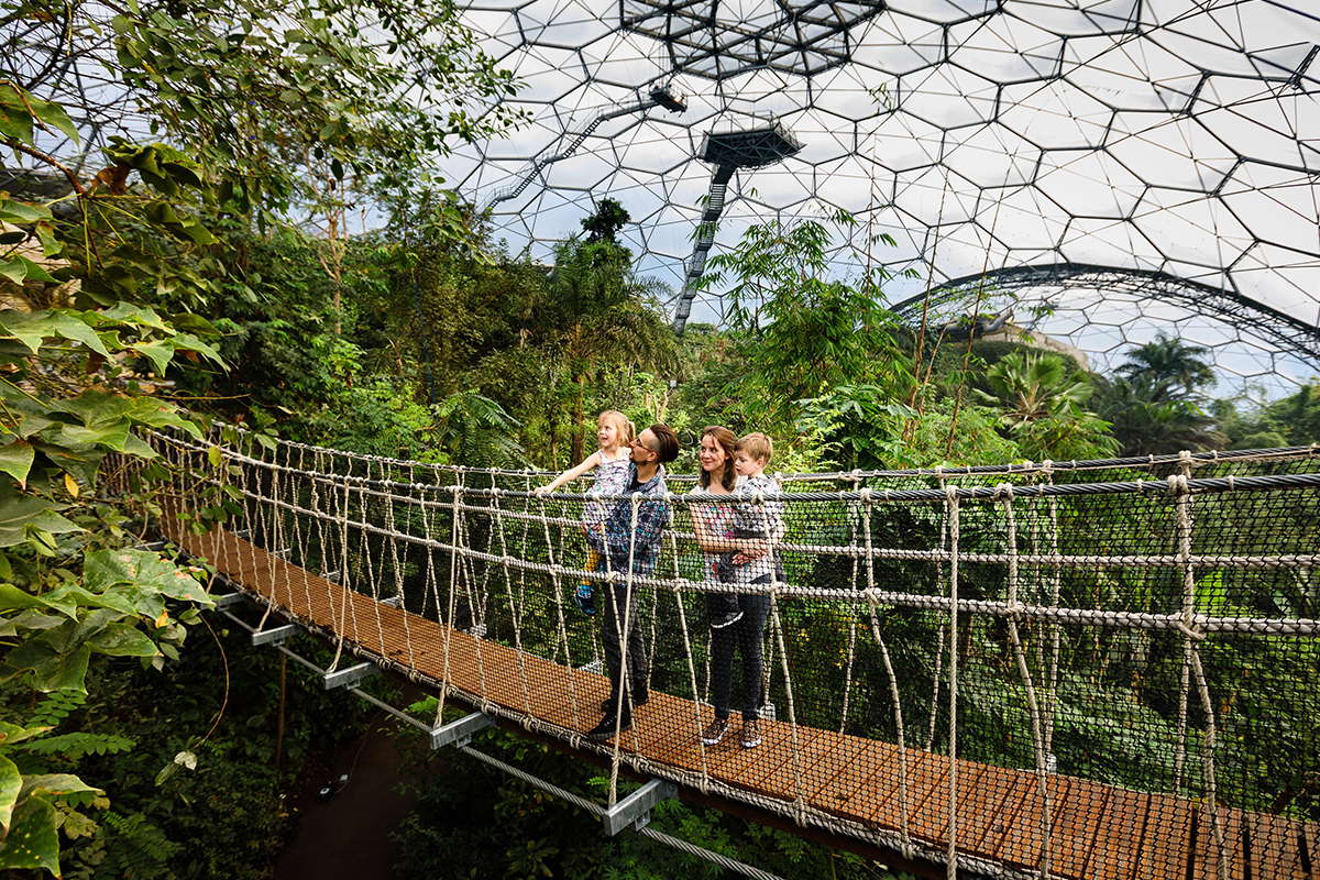 Cloud Bridge