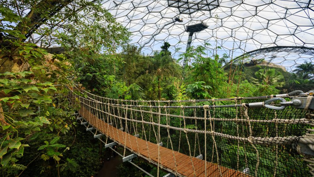 Biomes Bridge