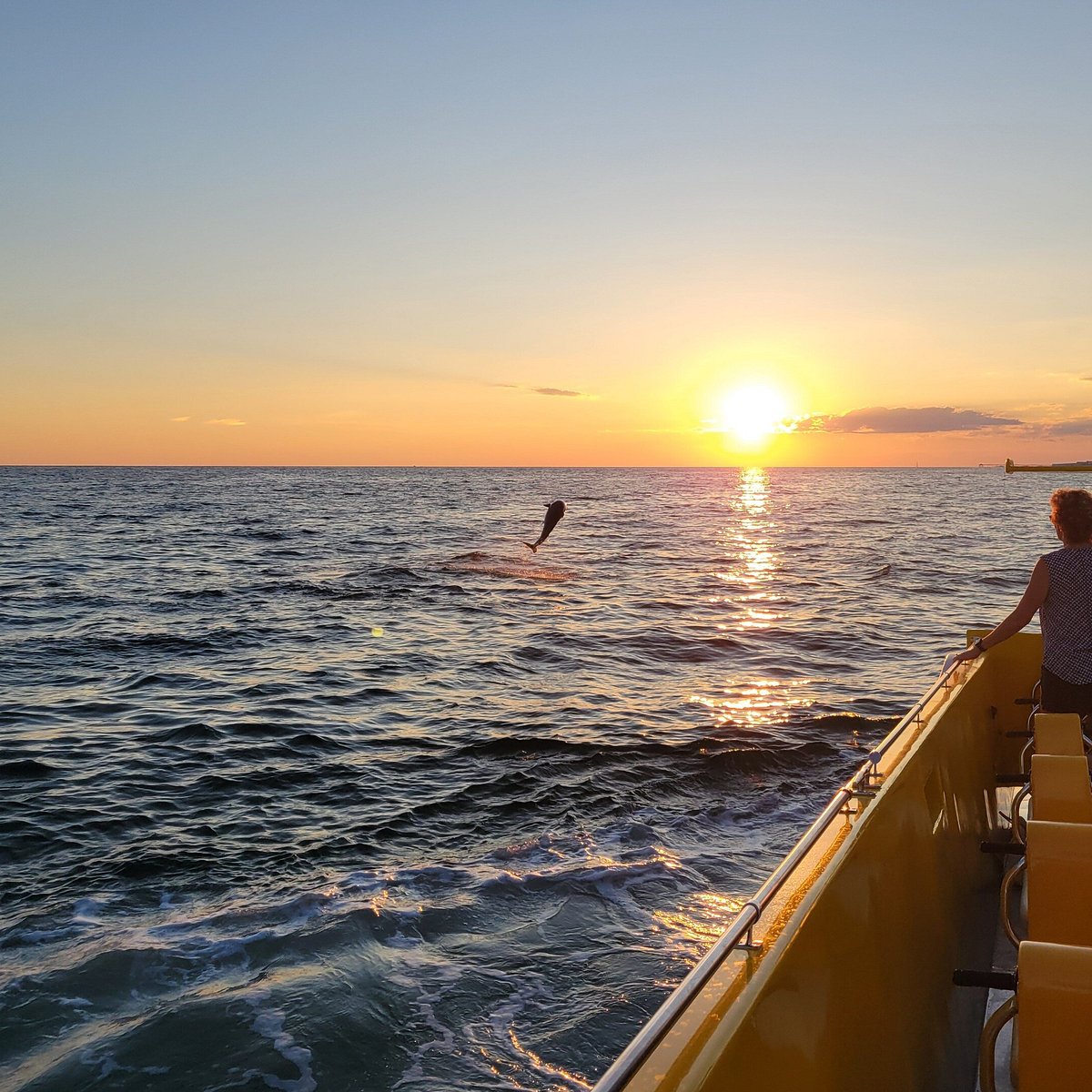 Raglan Harbour Cruises