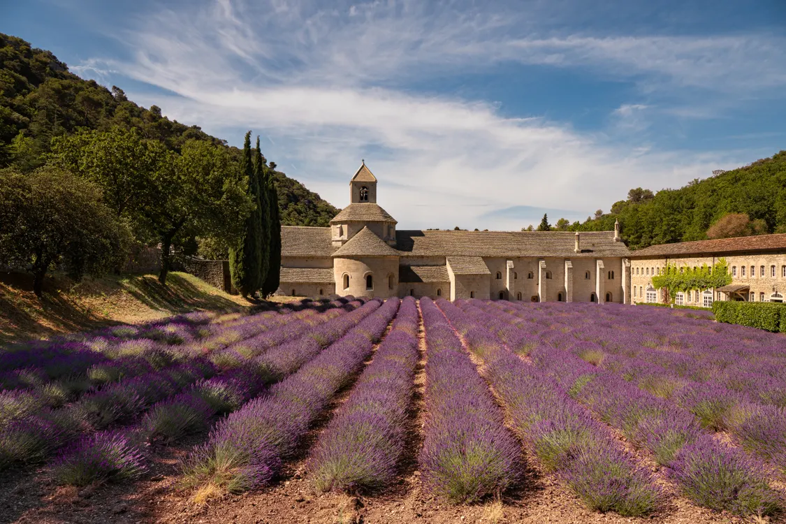 Abbaye de Senanque