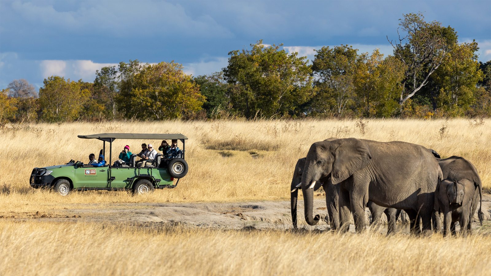 Hwange Safari From Victoria Falls