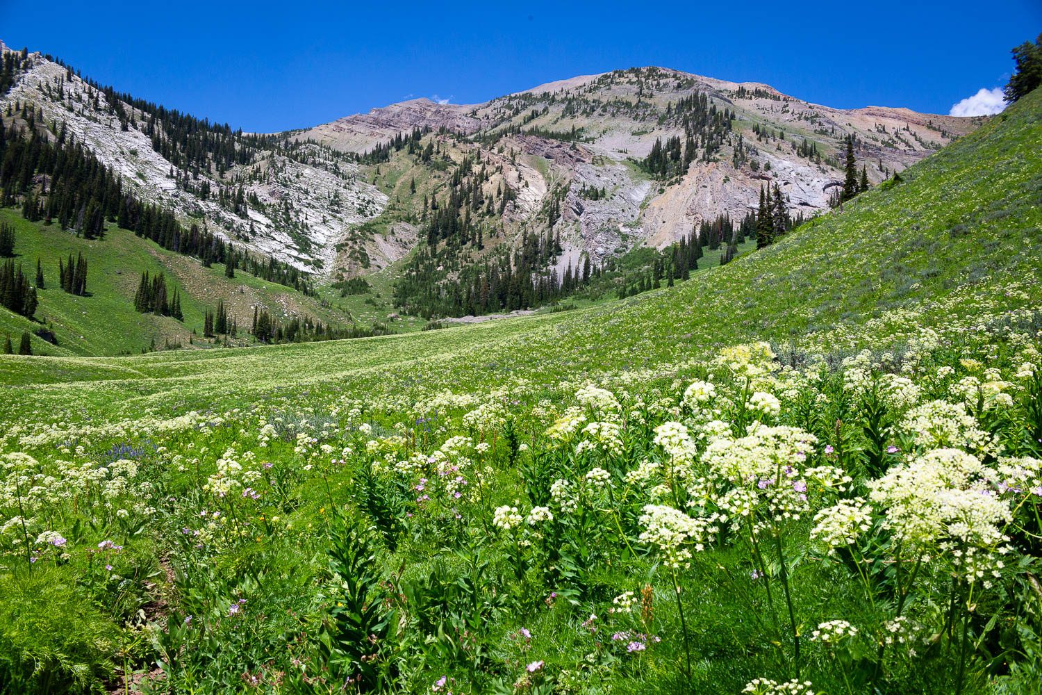 Gros Ventre Mountains
