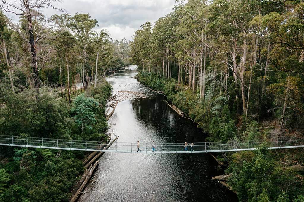 Tahune Airwalk Tour From Hobart