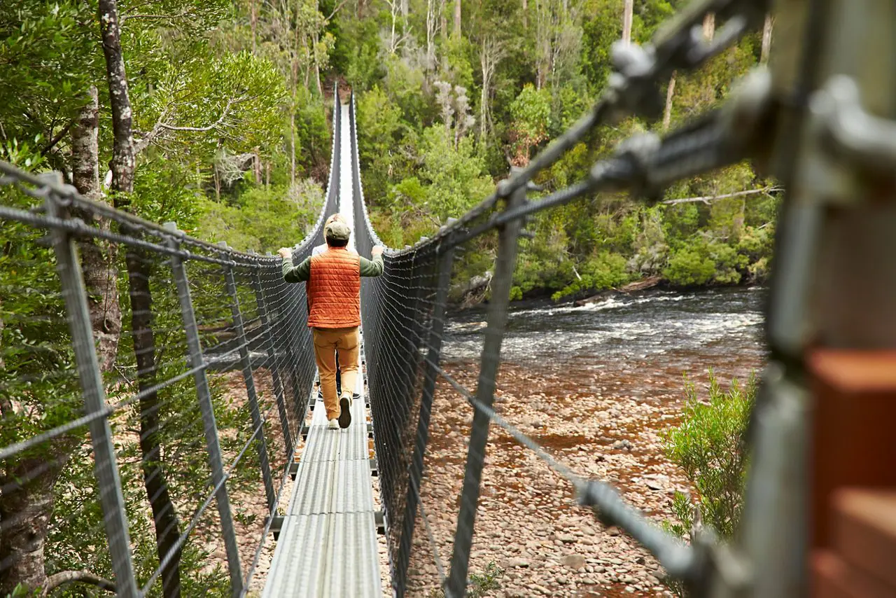 Swinging Bridges