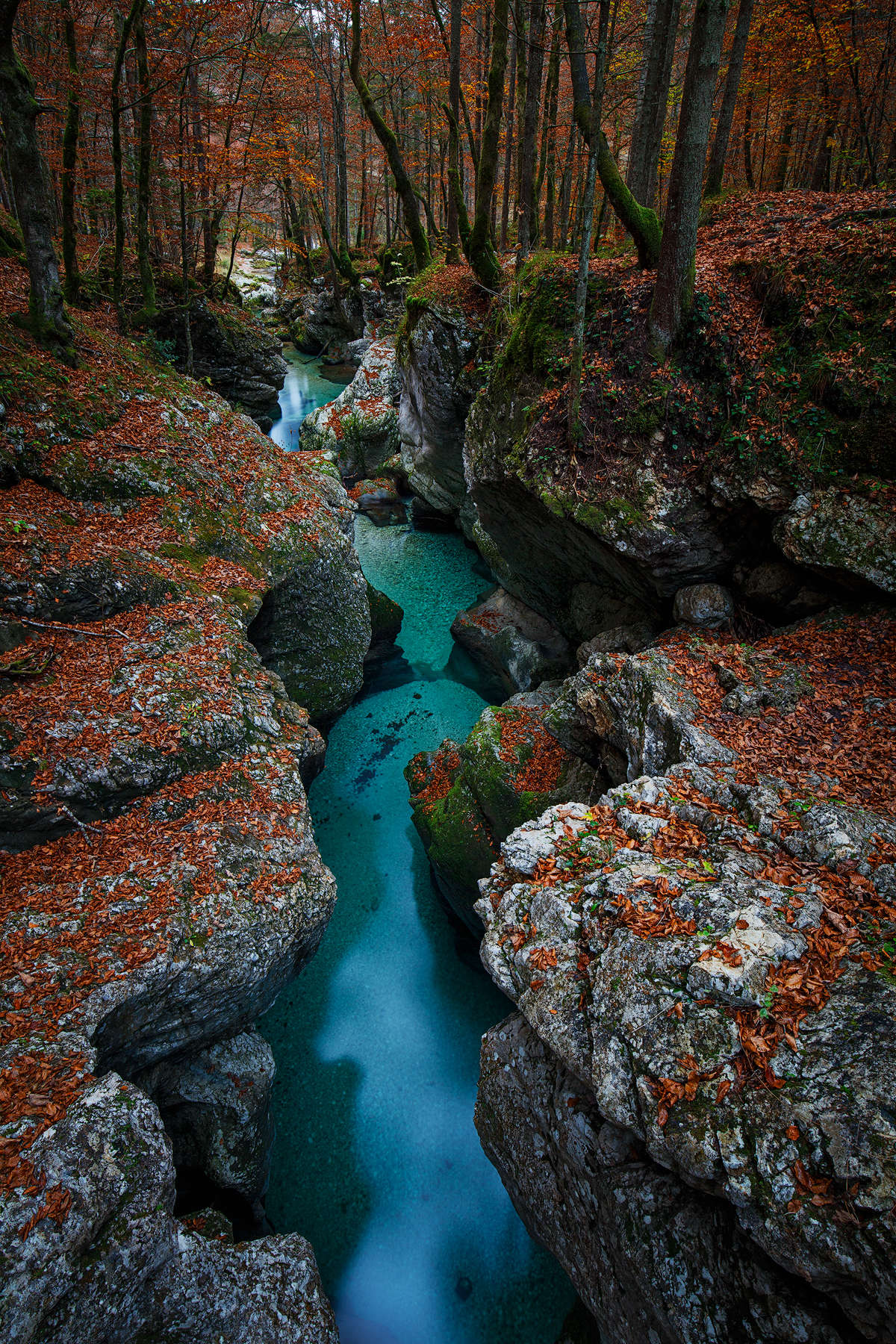 Confluence of the Tolminka and Zadlaščica