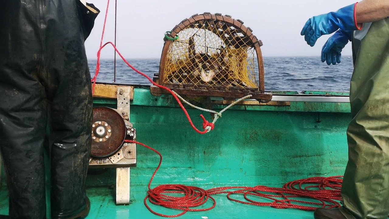 Lobster Trap Hauler
