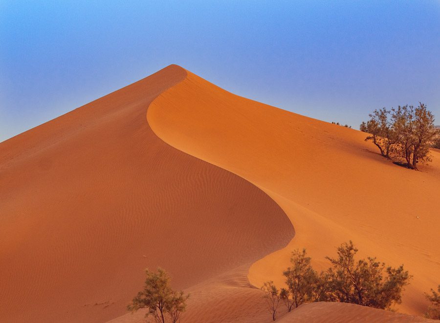 Entry to the dunes