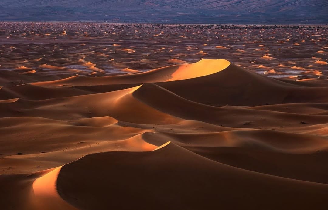 The High Dunes