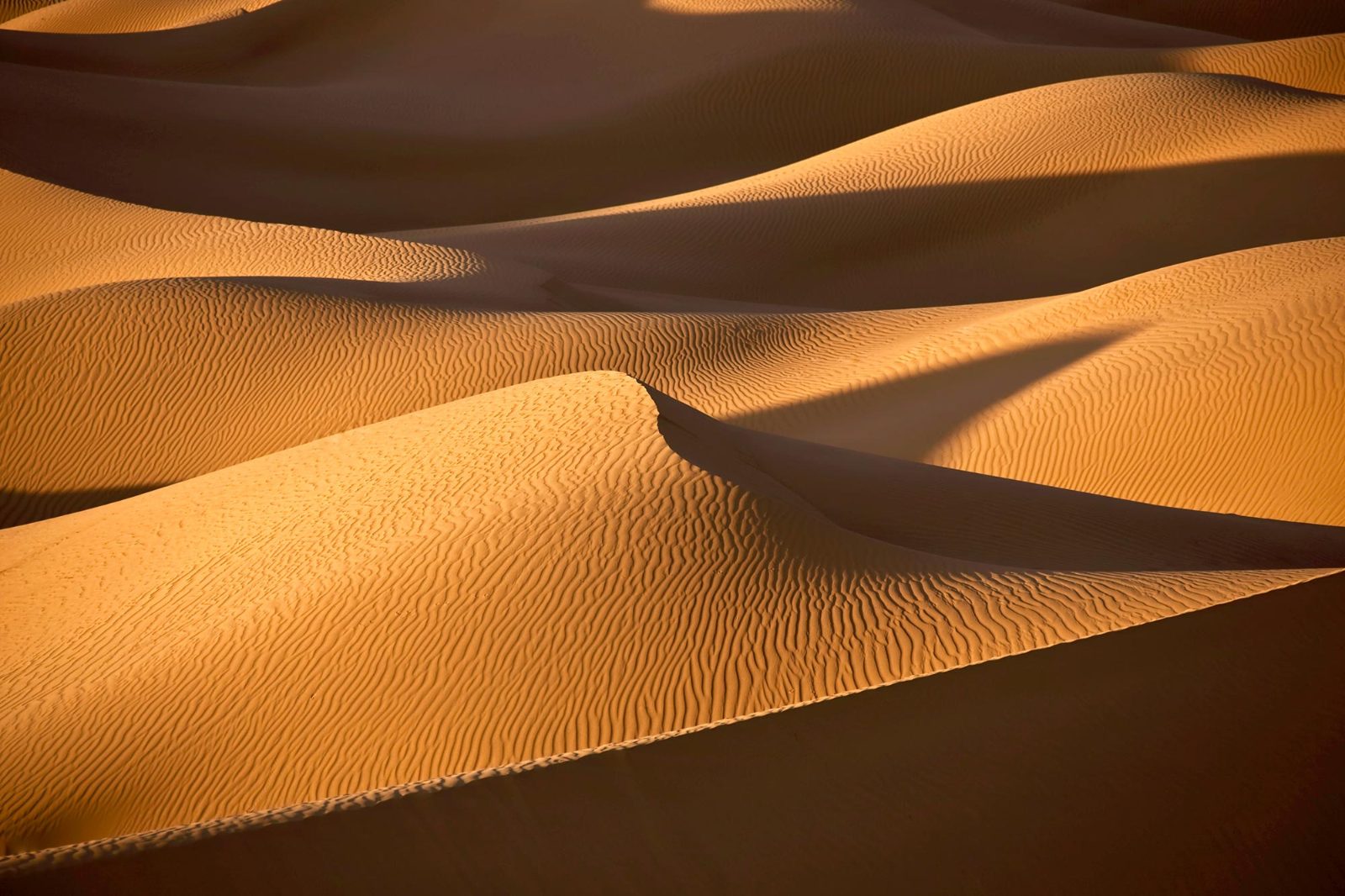 Sand Ripple Ridge