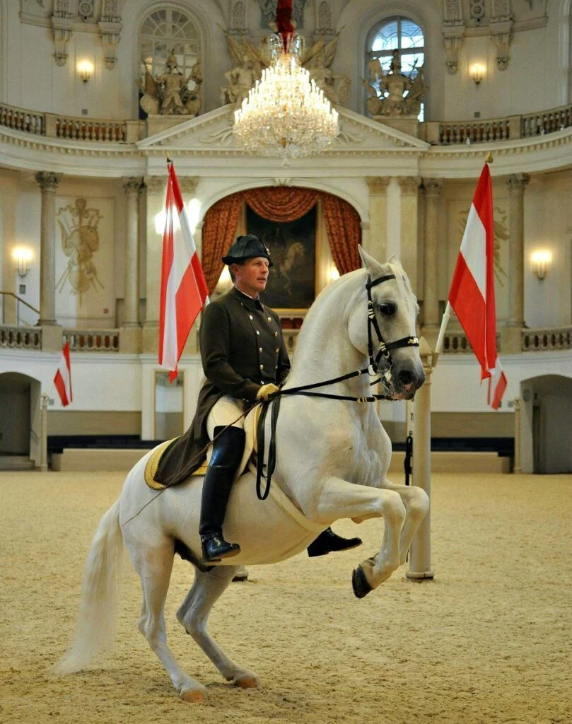 Spanish Riding School