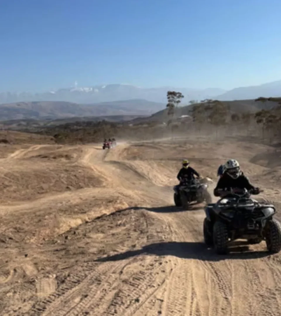 Malia Quad Safari