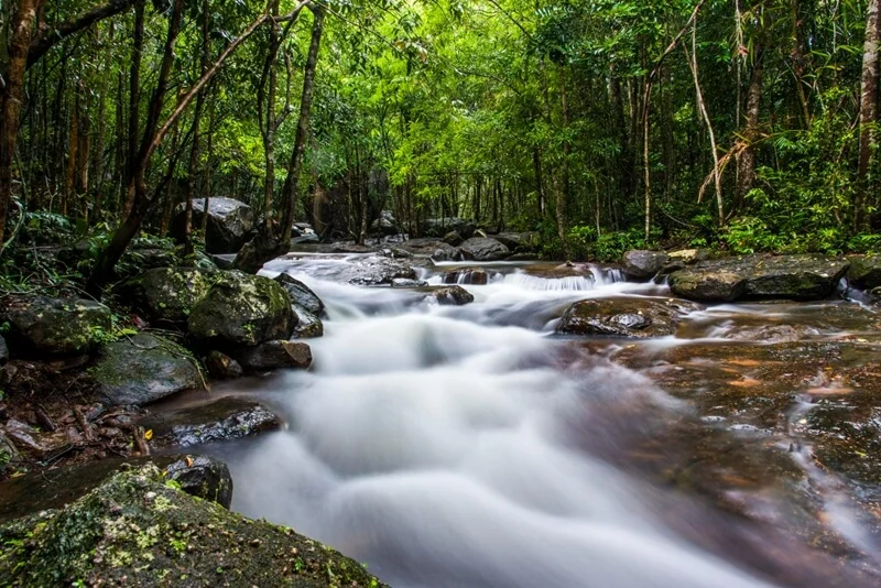 Mountain Streams