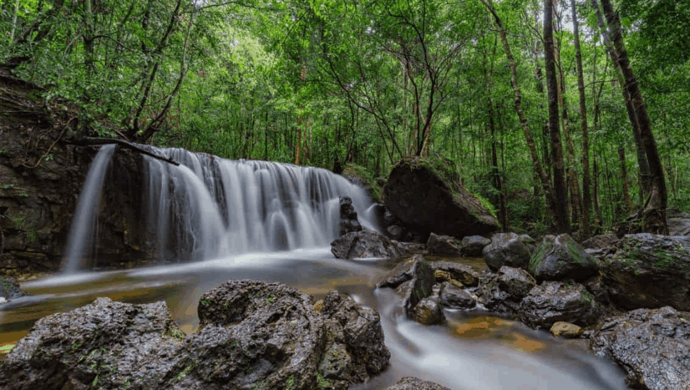Suoi Tranh Waterfall