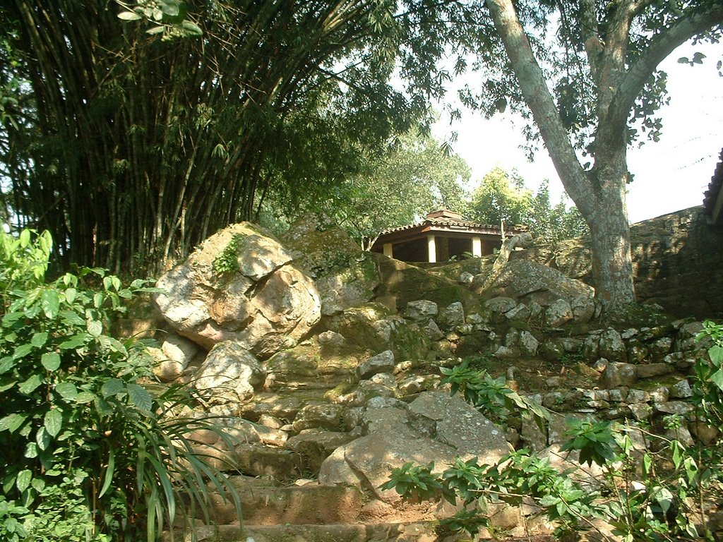 Rock Garden