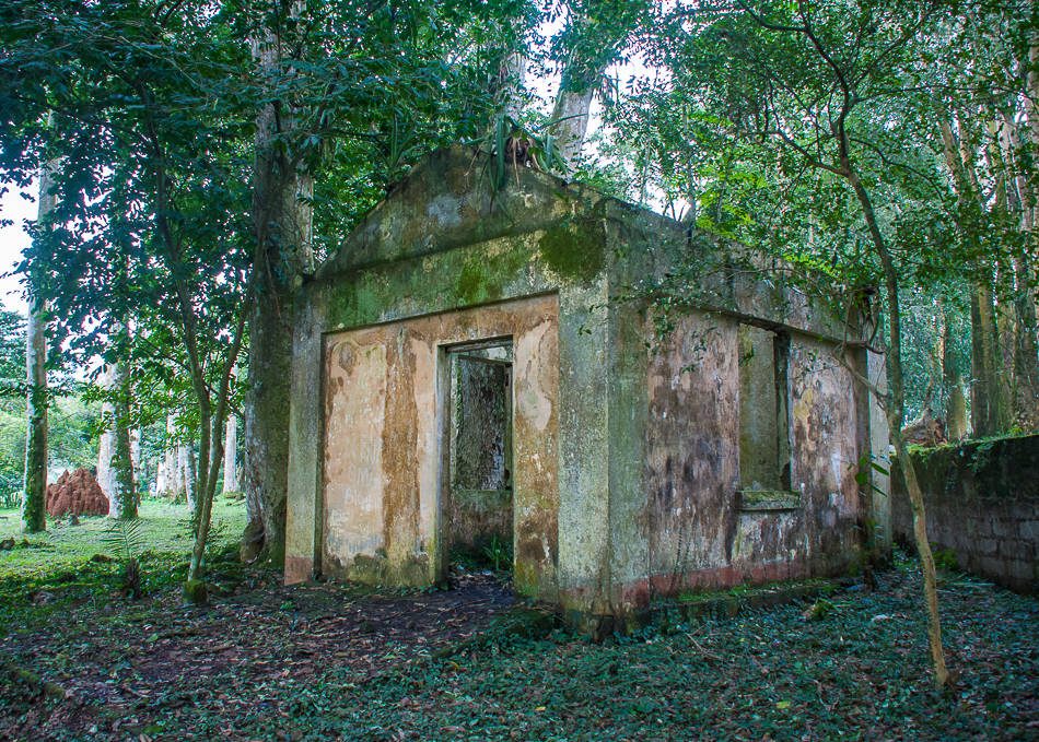 The Sanatorium Ruins
