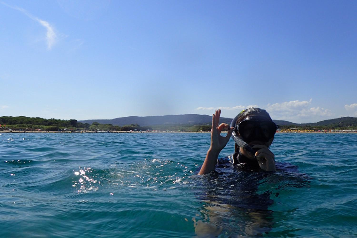 Mediterranean Marine Life