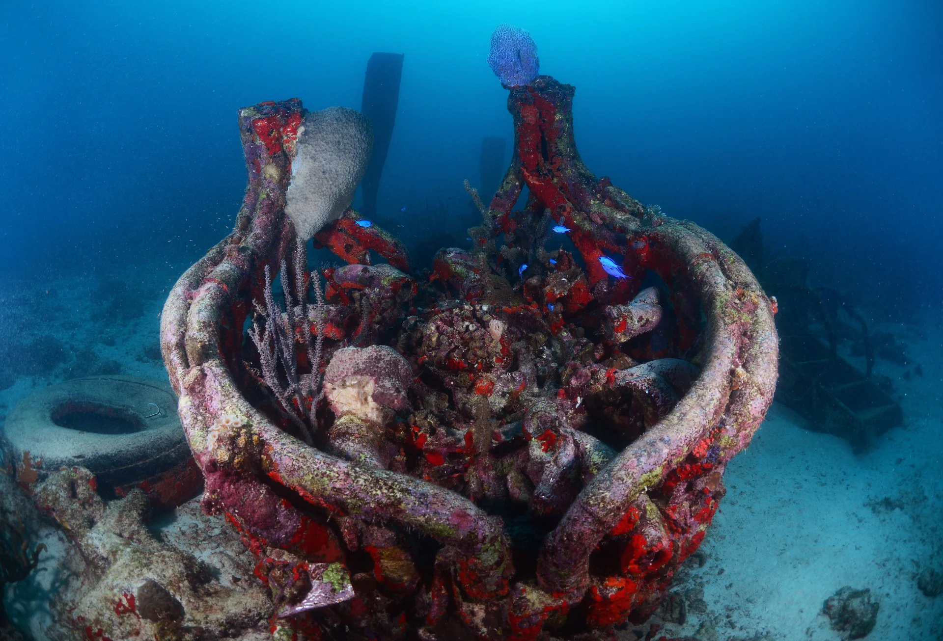 The Antilla Propeller