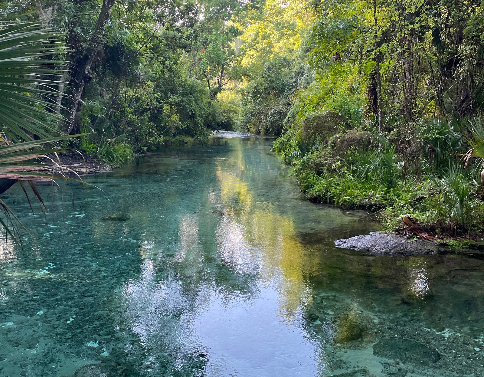 Rock Springs Run