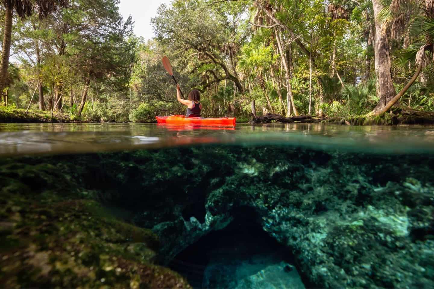 Emerald Cut Kayak Tour
