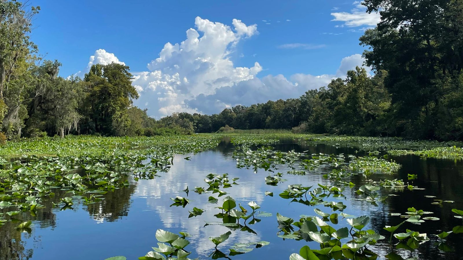 Wekiva River Basin