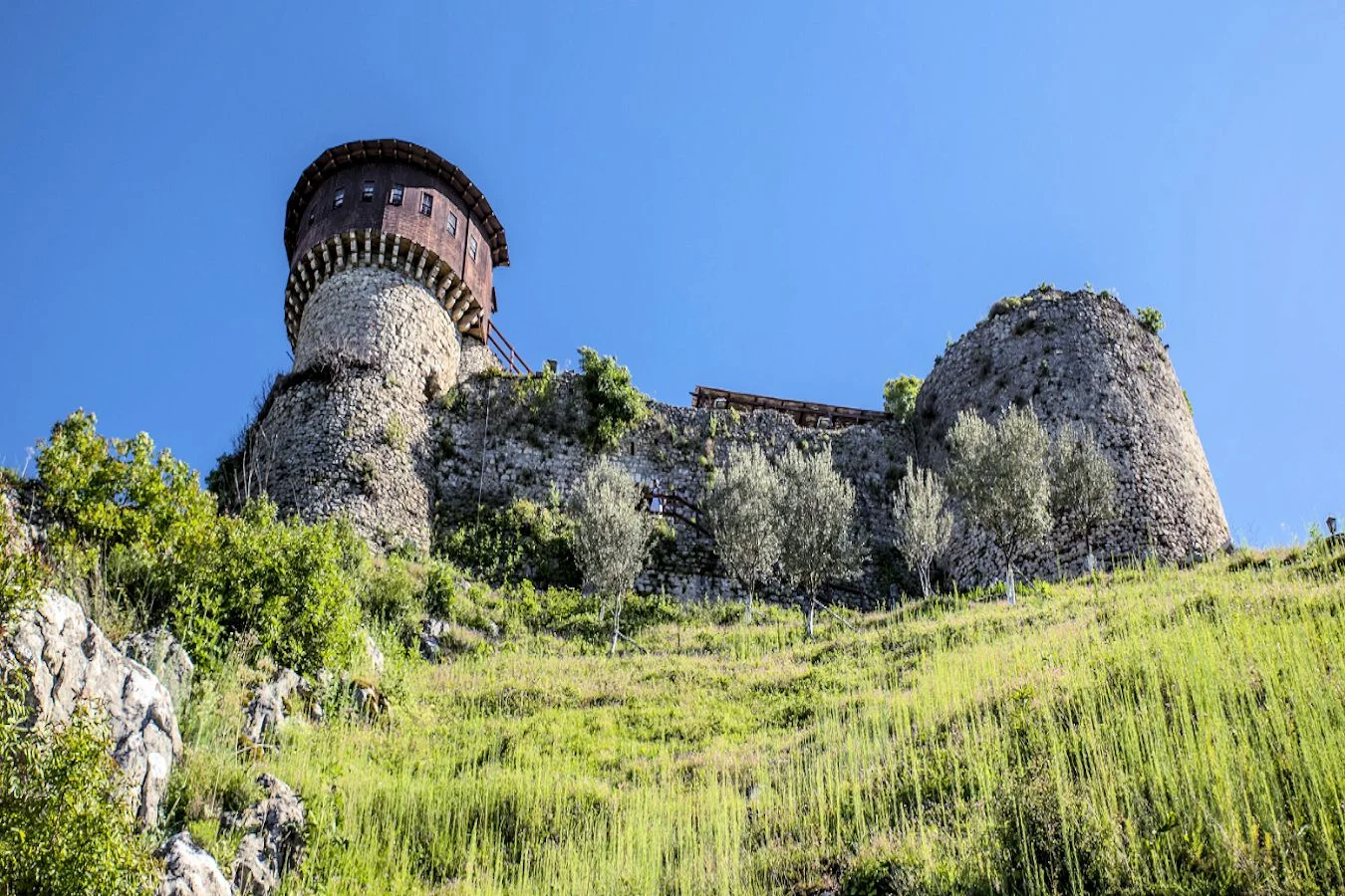 Castle Observation Tower