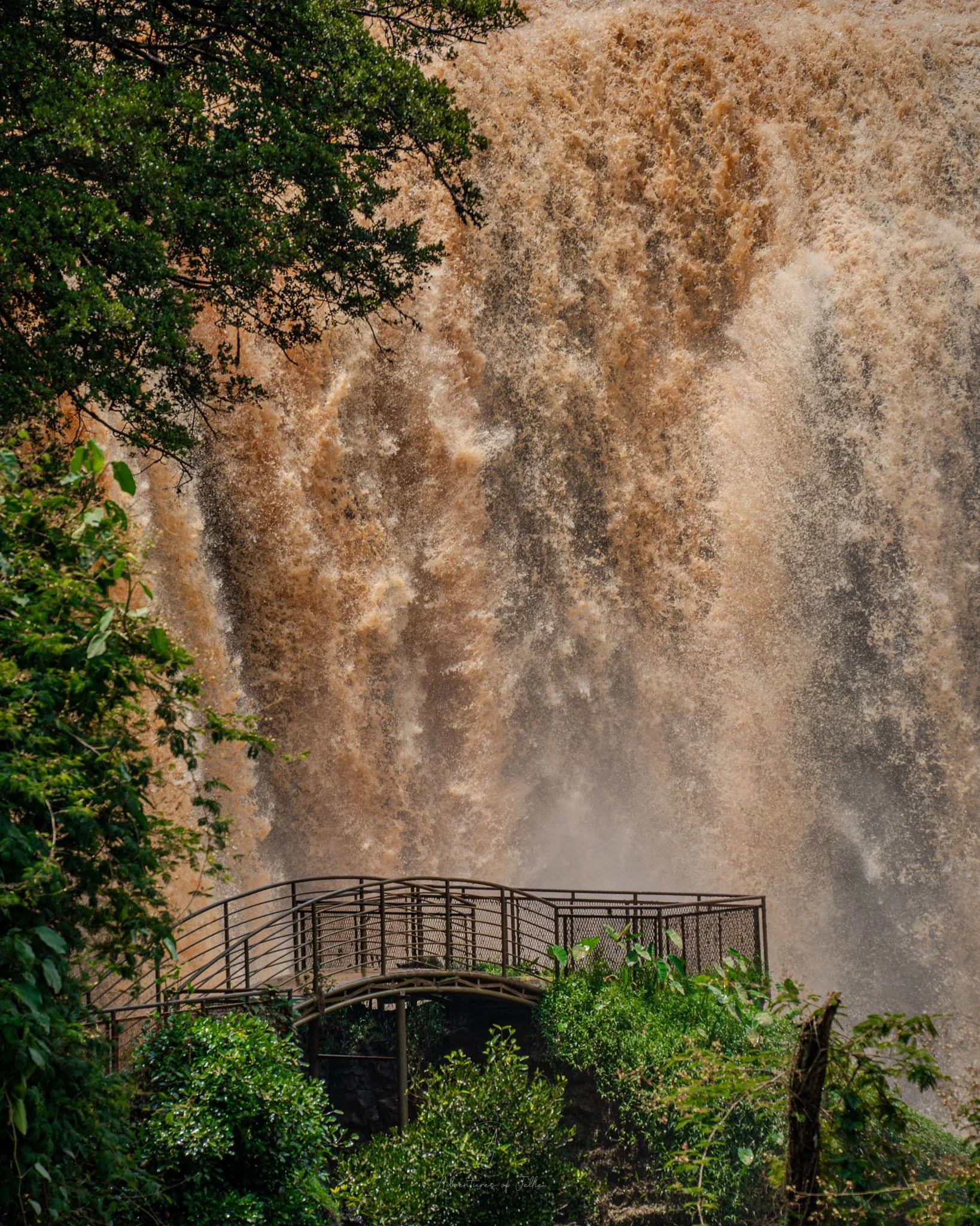Elephant Waterfall Base