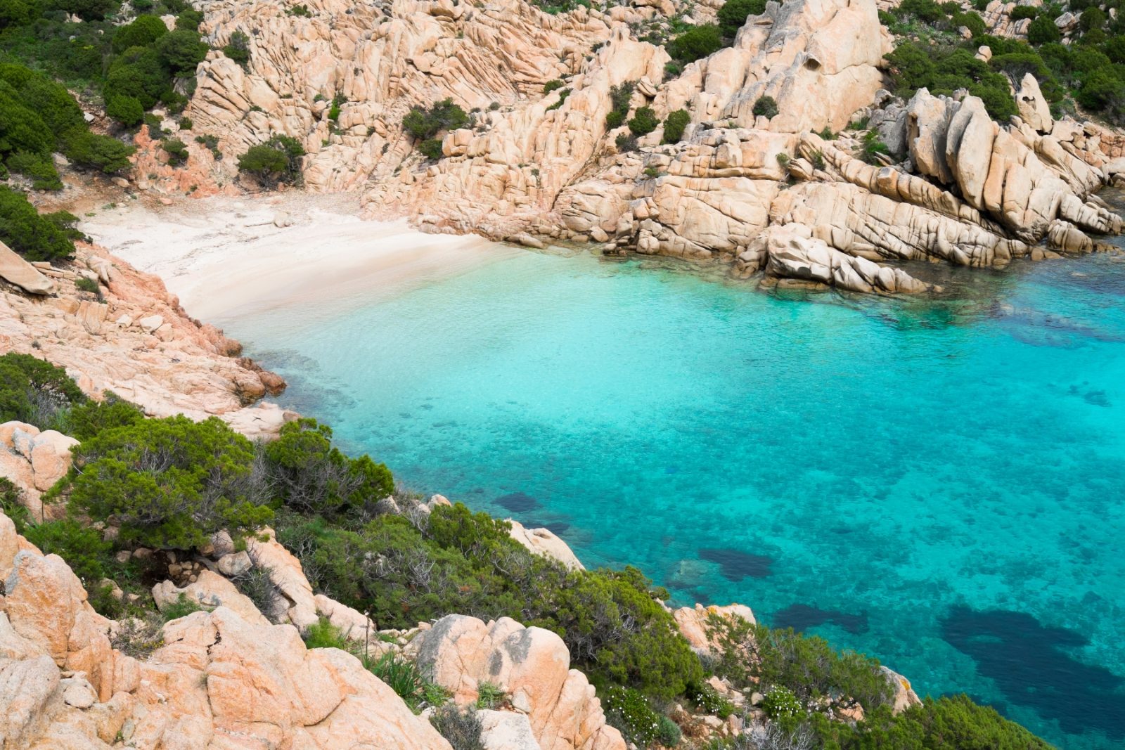 Cove Shoreline