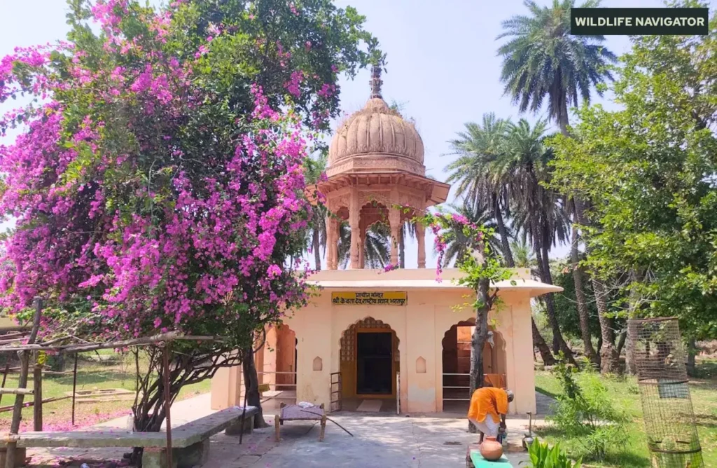 Paseo o caminata al Templo Keoladeo