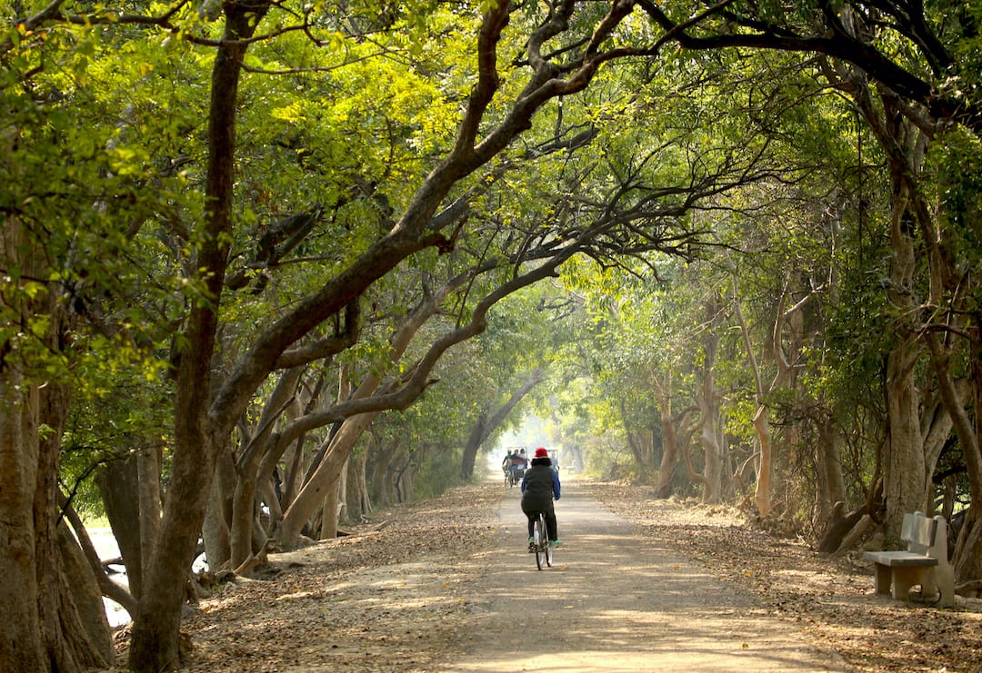 Sendero Brijendra Bund