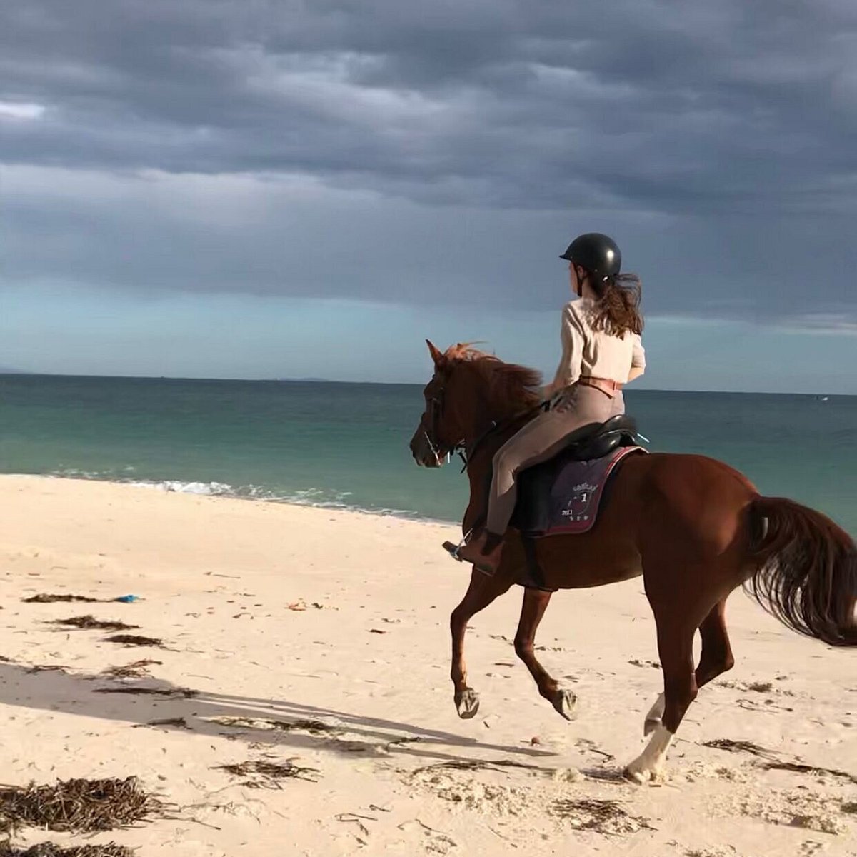Shoreline Gallop