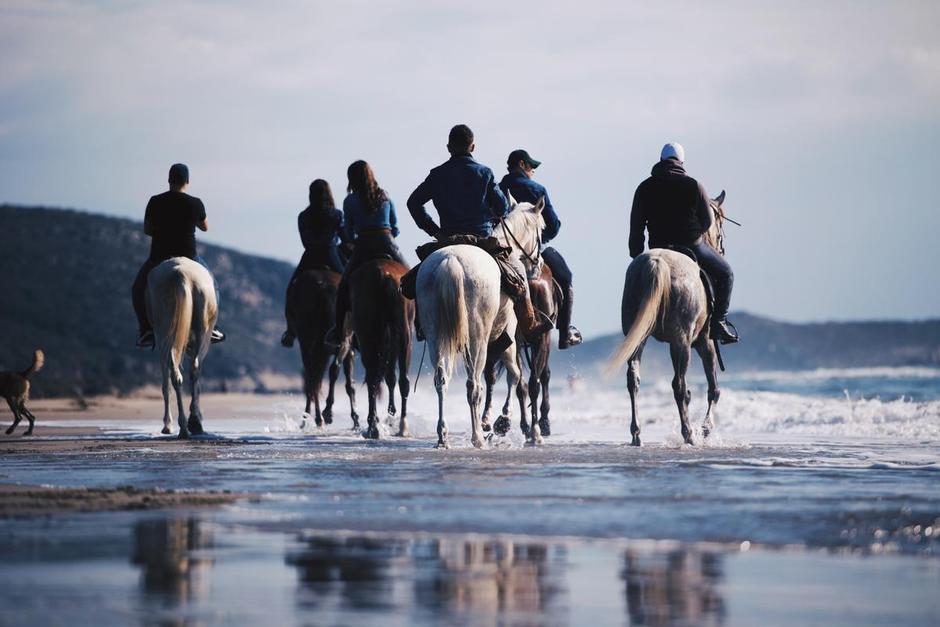 Horse Riding Sousse