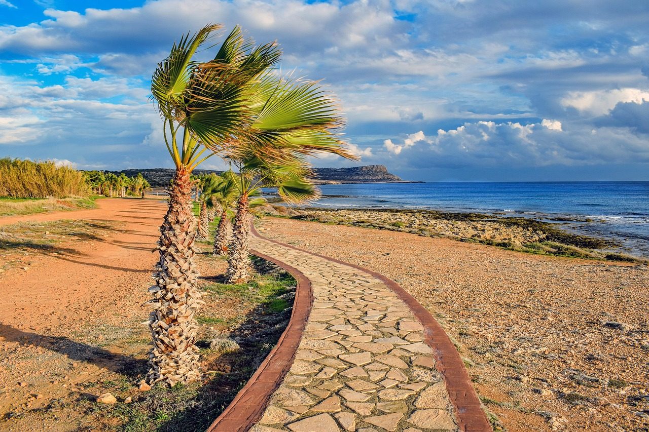 Palm Bordered Path