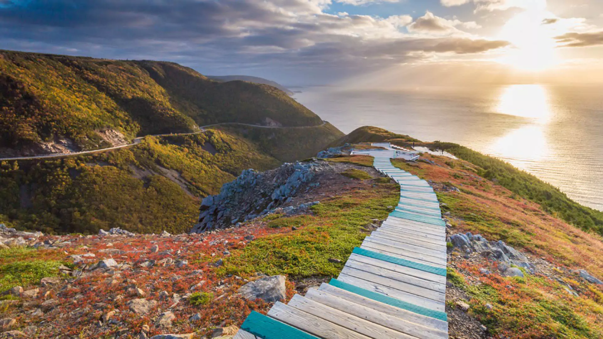 Skyline Trail Boardwalk