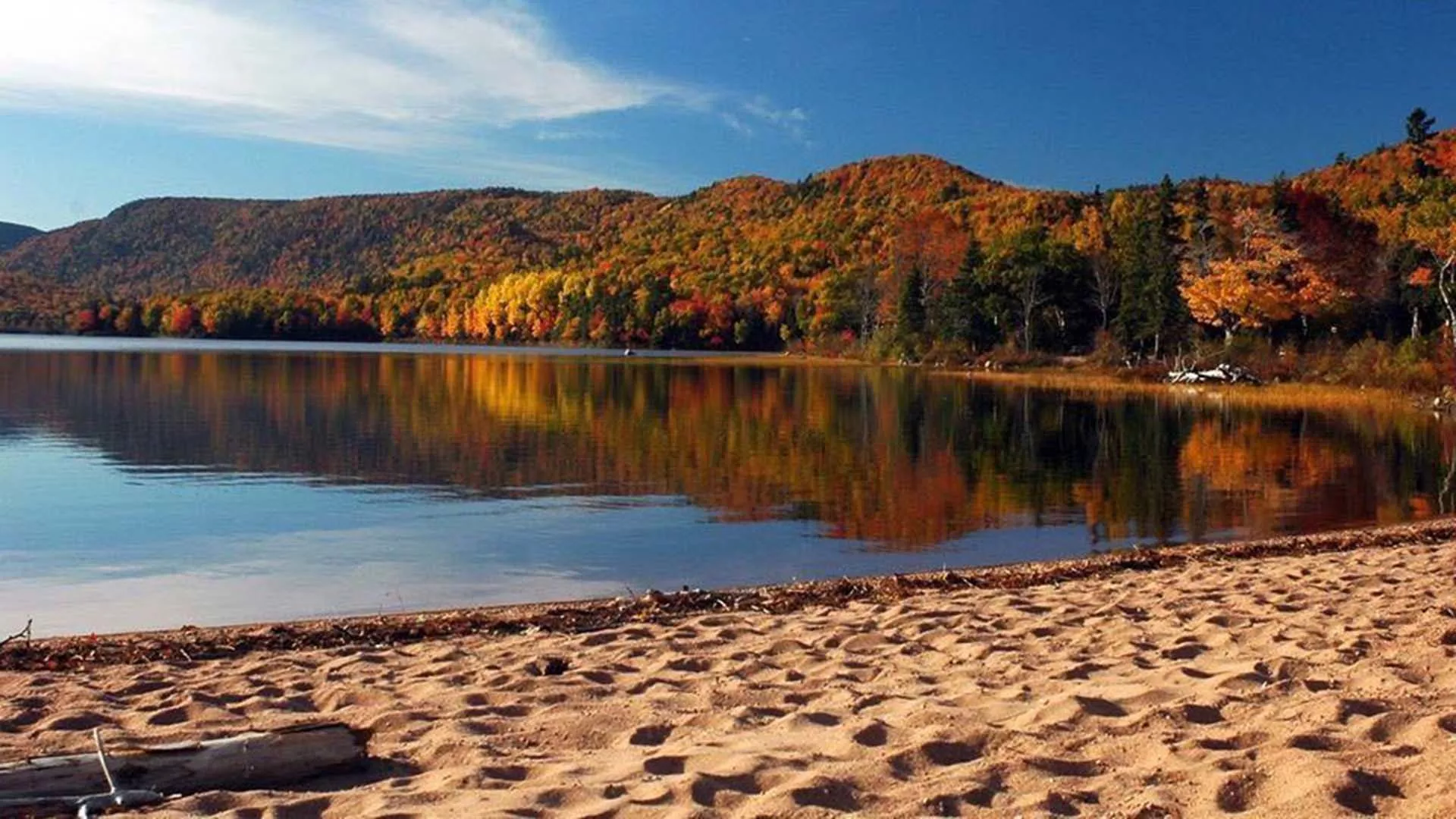 Warren Lake
