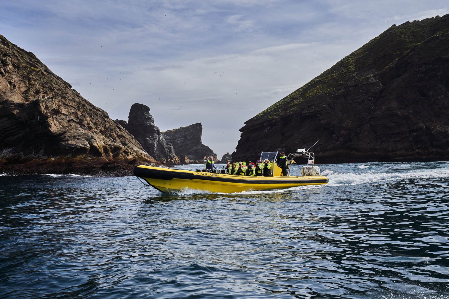 Westman Islands Boat Tour