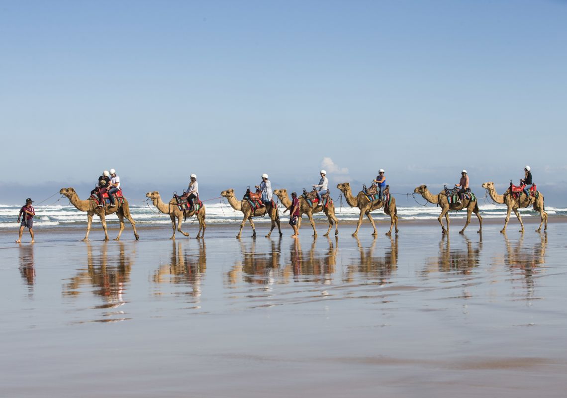 Darwin Camel Tours