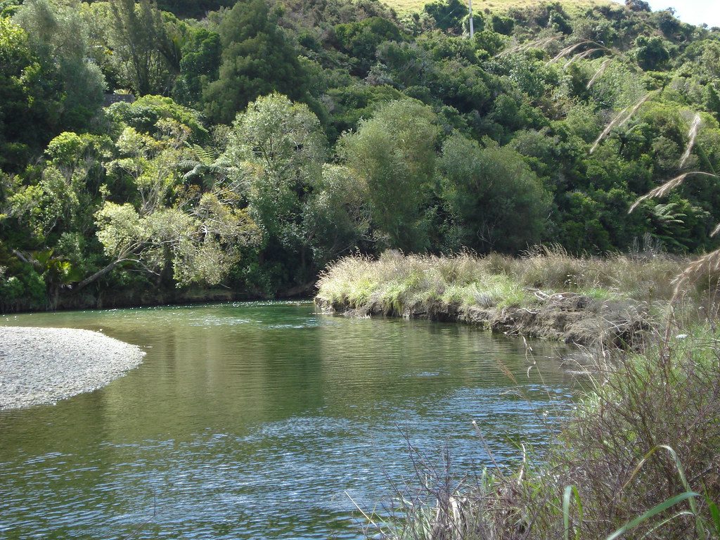 Wakapuaka River