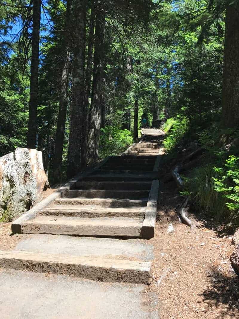 Larch Mountain Trail
