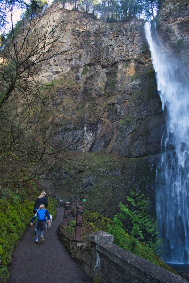 Upper Trail Viewpoint