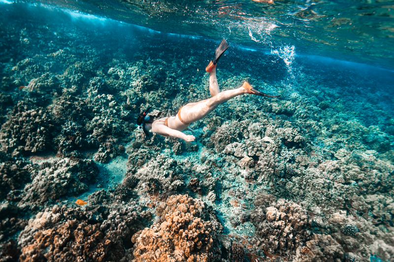 Maui Snorkeling for Non Swimmers
