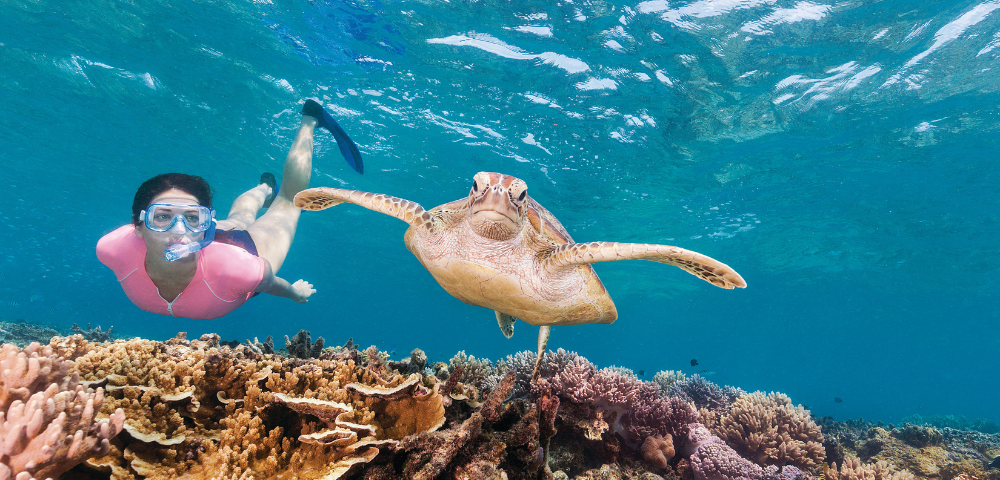 Great Keppel Island Snorkeling