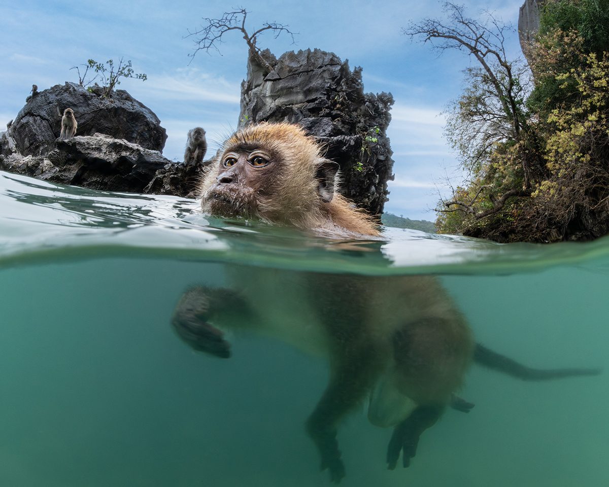 Monkey Beach