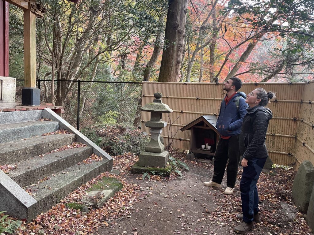 Tsutaya-cho Forest