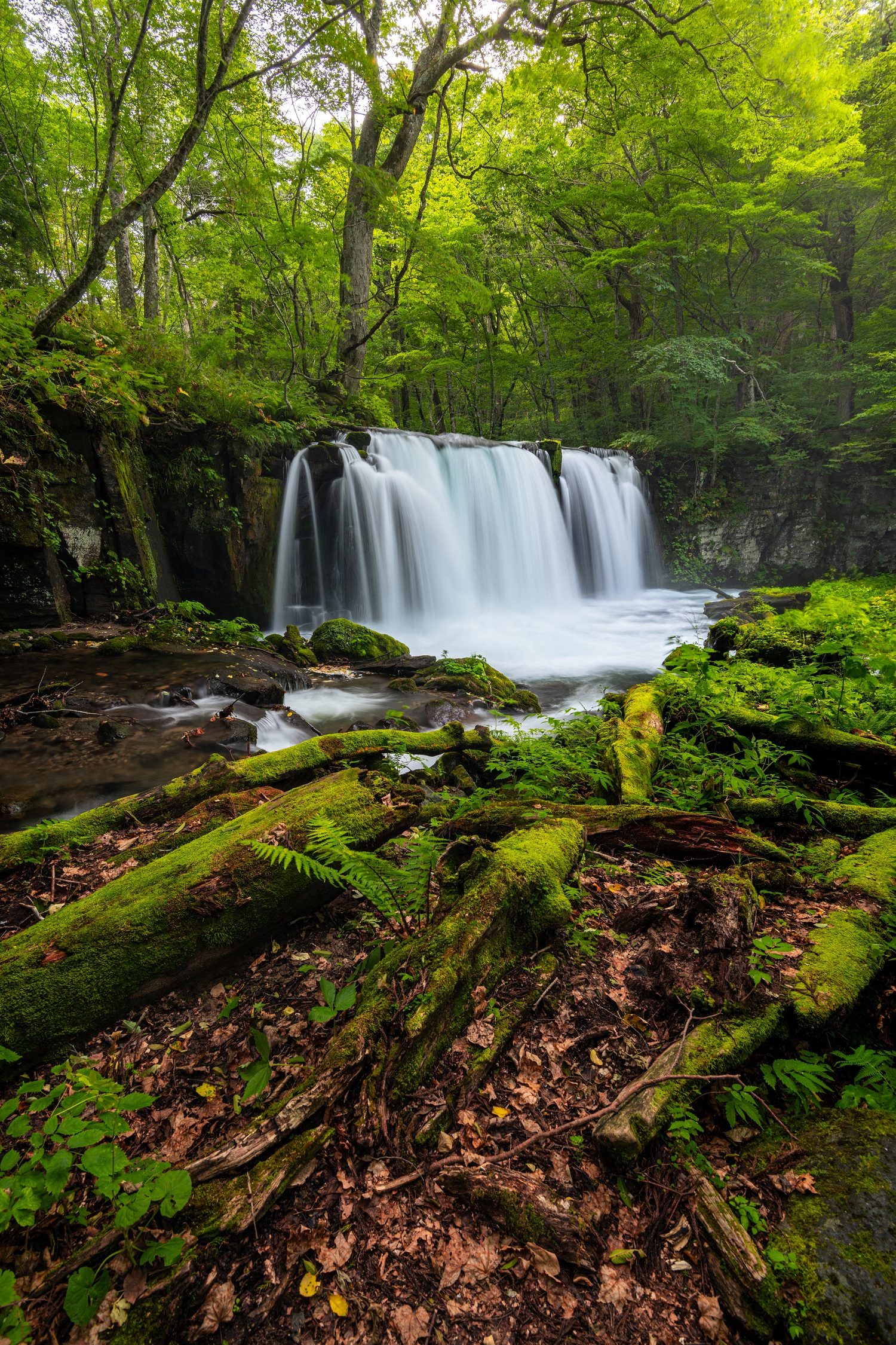 Choshi Otaki Falls