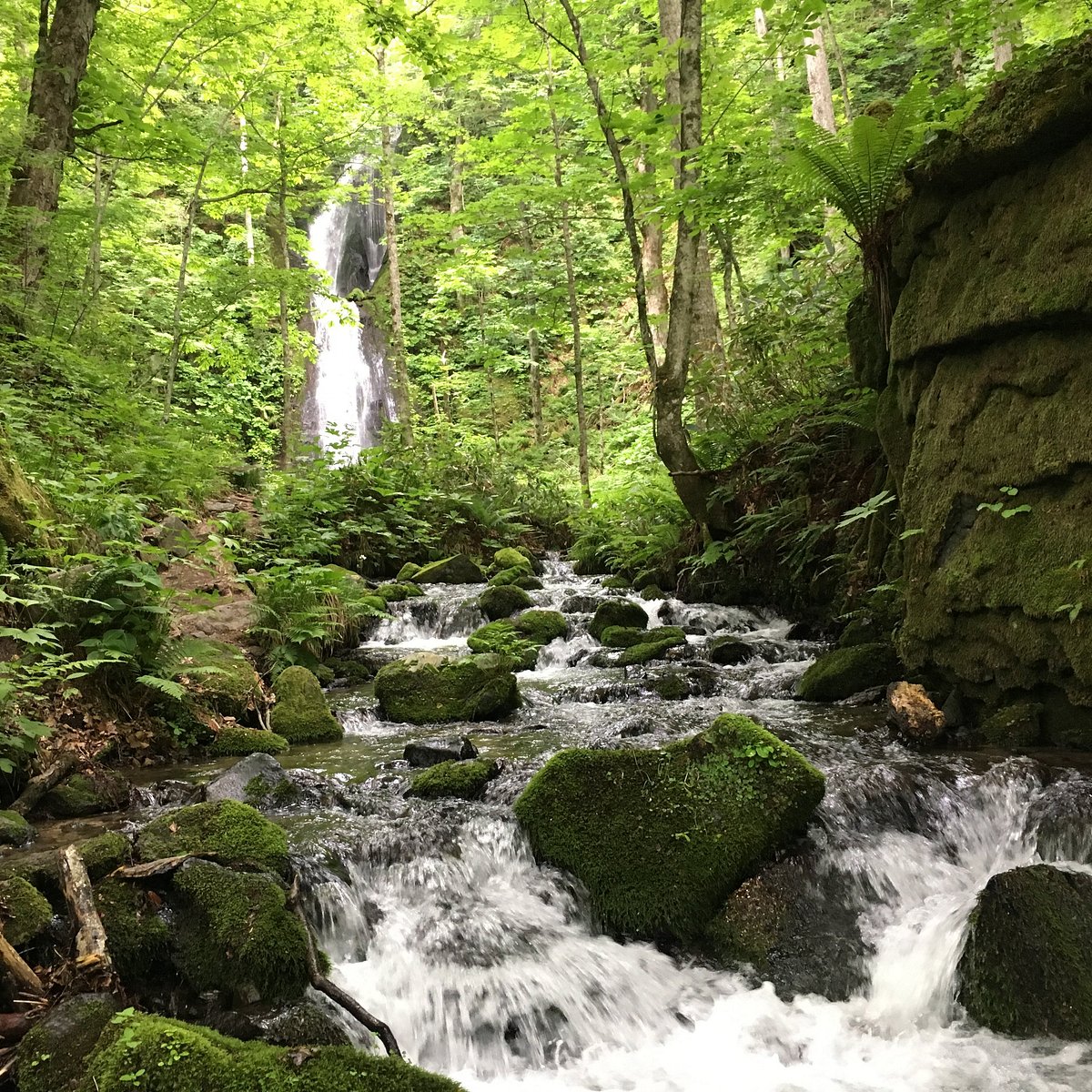 Kumoi Falls