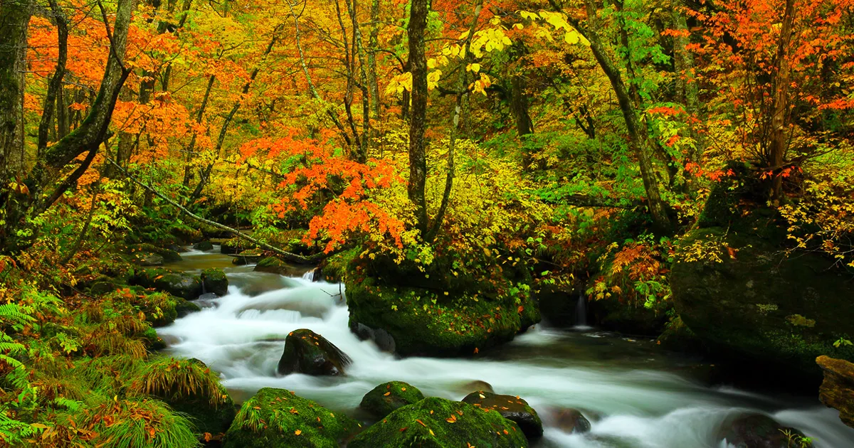 Oirase Gorge Tour