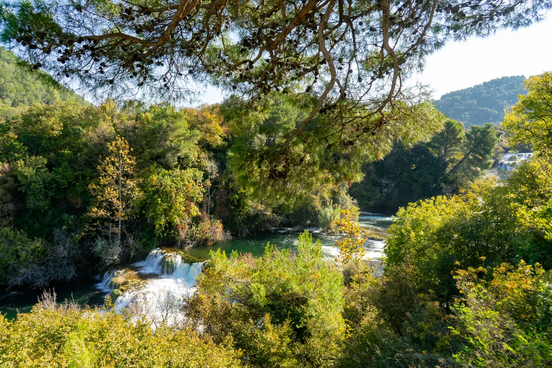 Krka River Meander
