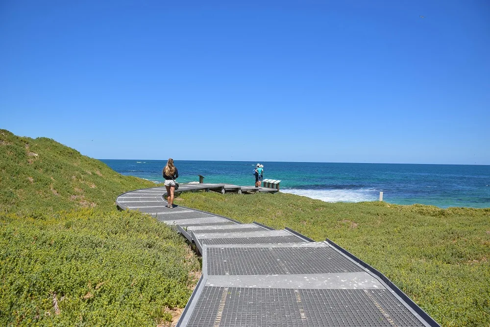 Discovery Centre Boardwalk