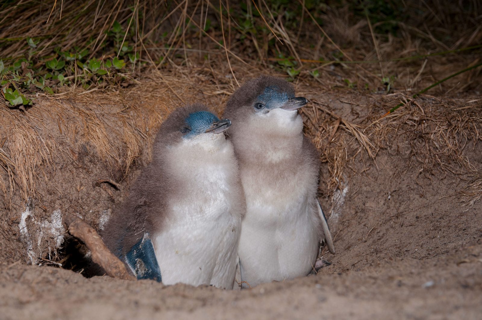 Wildlife Sanctuary