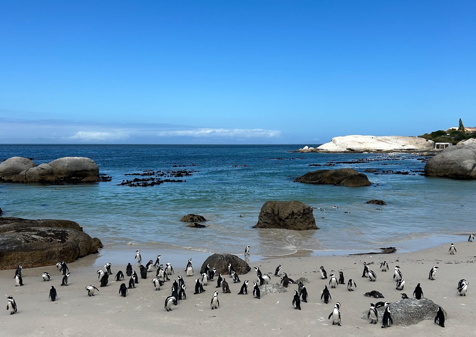 Penguin Island Western Beach